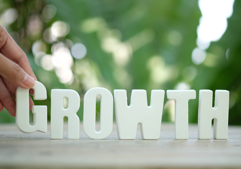 growth strategy