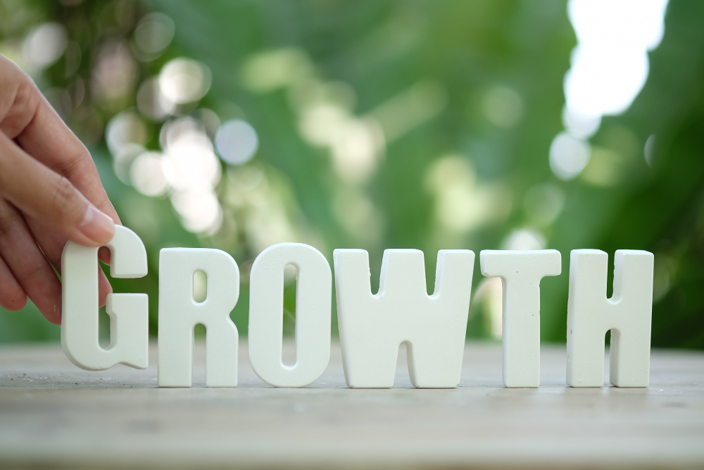 growth strategy